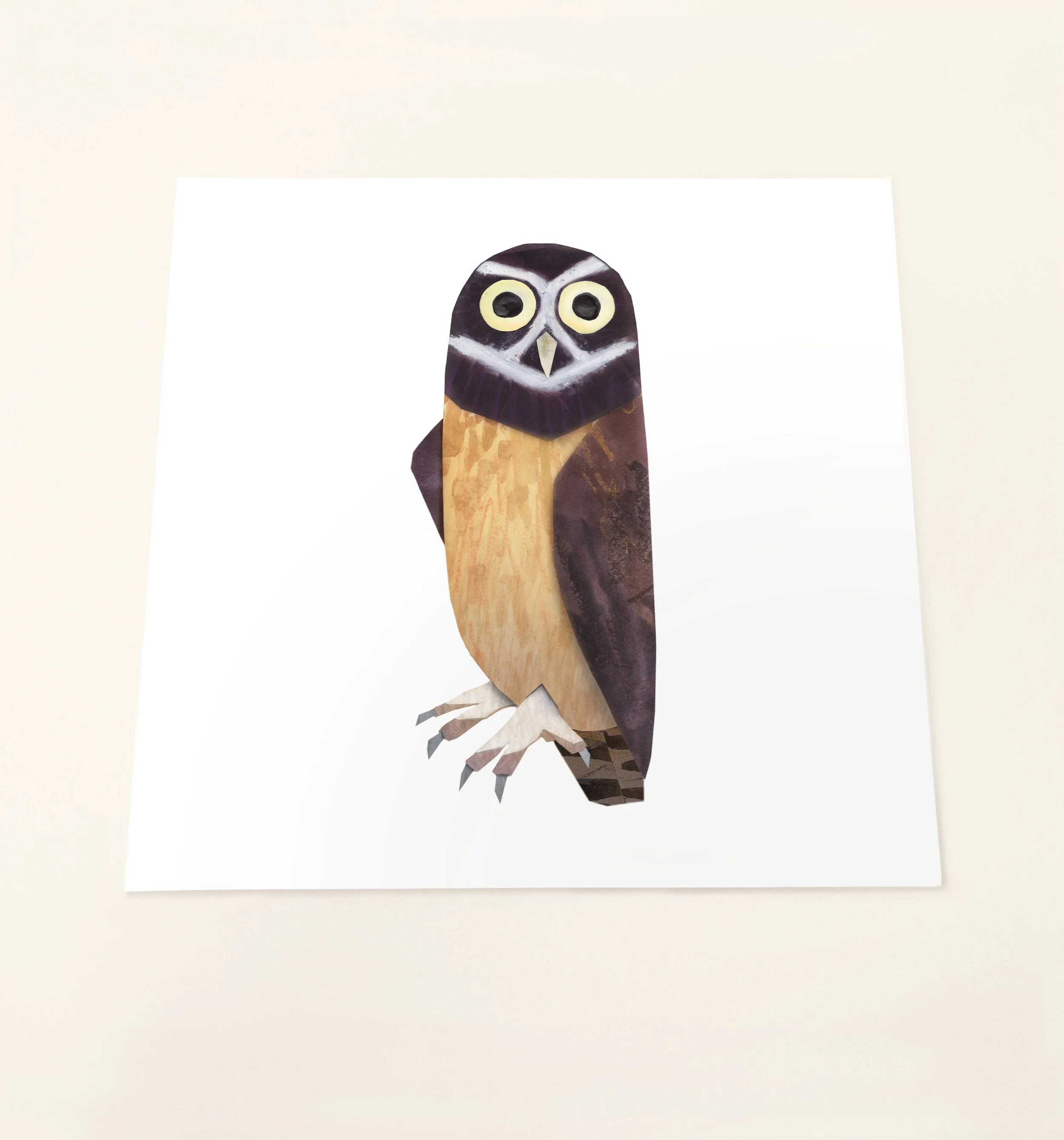Birds — Shop — Brendan Wenzel